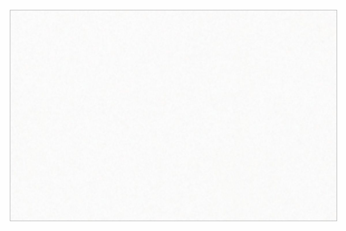 Бостон Дверь глухая L450